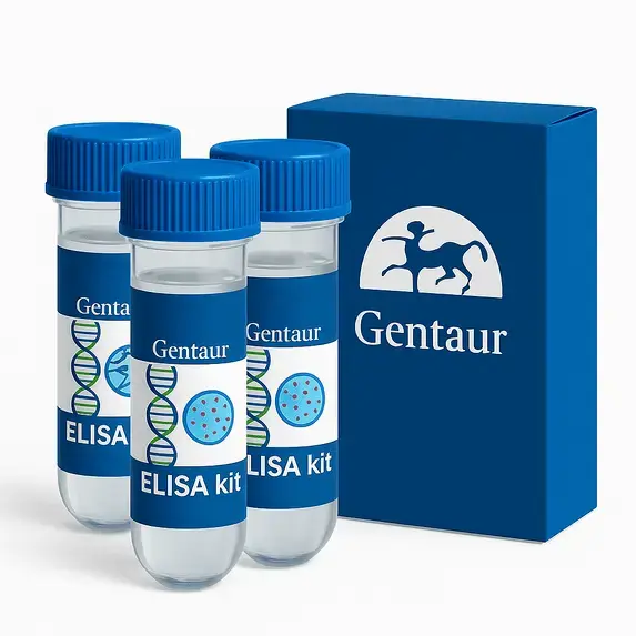 ELISA  Recombinant Mycobacterium tuberculosis Toxin RelG(relG)
