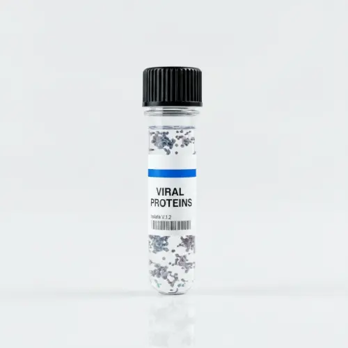 Borrelia BmpA